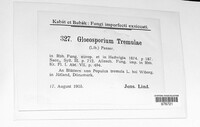 Titaeosporina tremulae image